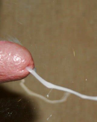 Schwänze Und Sperma Porno Bilder Sex Fotos XXX Bilder 2123957 PICTOA