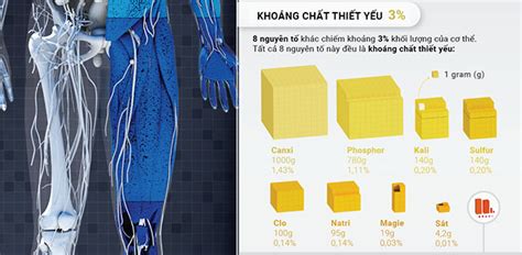 nguoi duoc tao nen tu nhung nguyen  nao khoahoctv