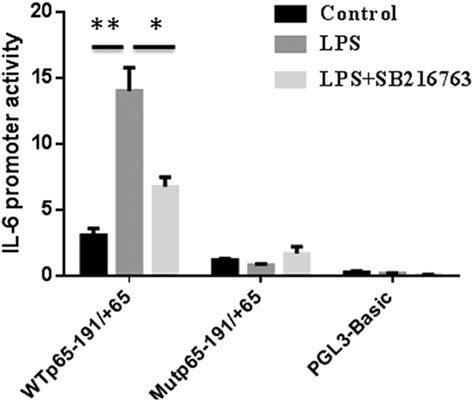 Gsk3β Regulated Il 6 Gene Expression Through Improving Nf κb