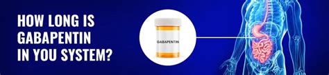 How Long Is Gabapentin In Your System Internationaldrugmart