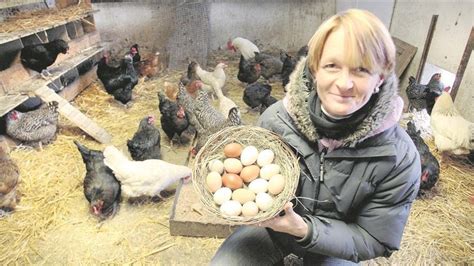 In Eutrich legen glückliche Hühner bunte Eier Sächsische de