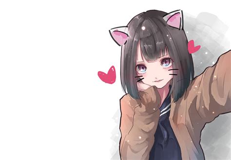 200 Anime Cat Wallpapers