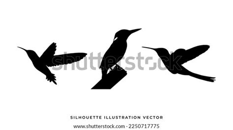 Wild Animals Silhouettes Vector Illustration Isolated Stock Vector ...