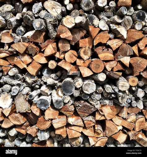 Large Firewood Pile Hi Res Stock Photography And Images Alamy