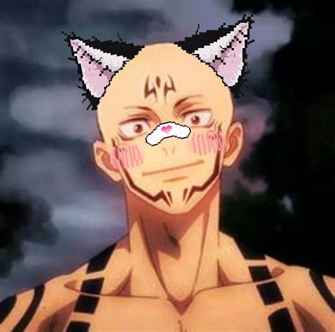 Bald Catboy Sukuna Rjujustukaisen