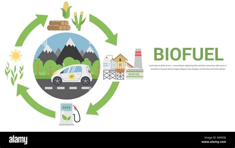 Carbon Cycle Diagram Stock Vector Images Alamy