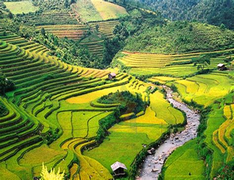 Mu Cang Chai - The most picturesque rice terraces in Vietnam | Top Attractions | Vietnam Best ...