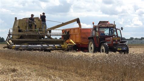 Tarwe Dorsen Bij Tepper Met De New Holland Clayson M Armada En