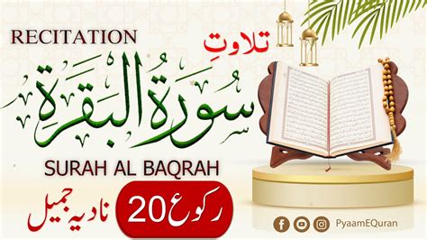 Surah Al Baqarah Recitation By Nadia Jameel Ruku 20 Ayat 164 167