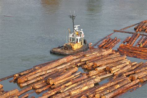 Wide On Transporting Raw Logs On River Editorial Image Image Of