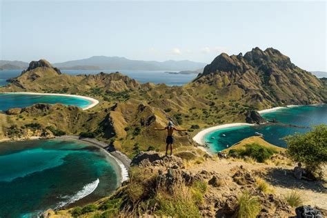 Experience Komodo National Park Flores Island Indonesia Komodo