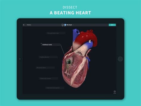 Complete Anatomy 2024 Ipad App Appwereld