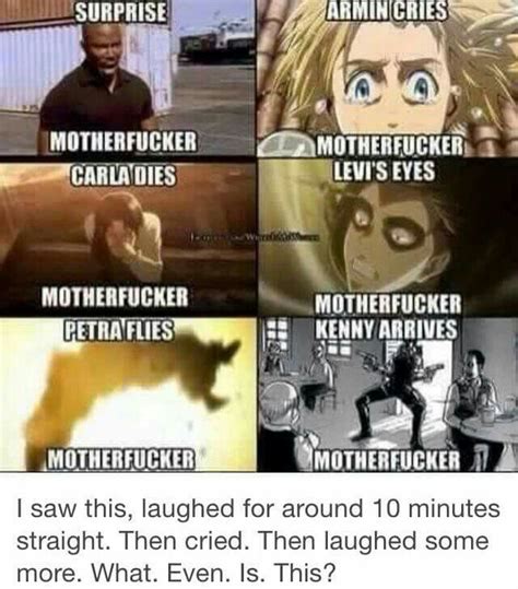 Attack On Titan Memes Aot Memes 21 Random 2 Attack On Titan