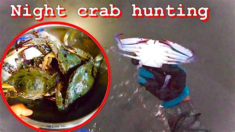 How To Catch Blue Crab Crab Hunting Coastal Foraging Youtube