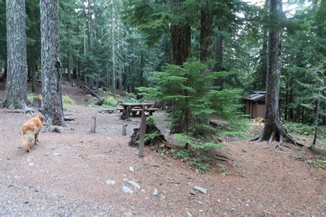 Goose Lake Campground Ford Pinchot National Forest Washington