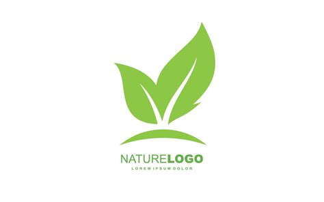 Leaf logo design inspiration. Vector template design for brand. 21252344 Vector Art at Vecteezy