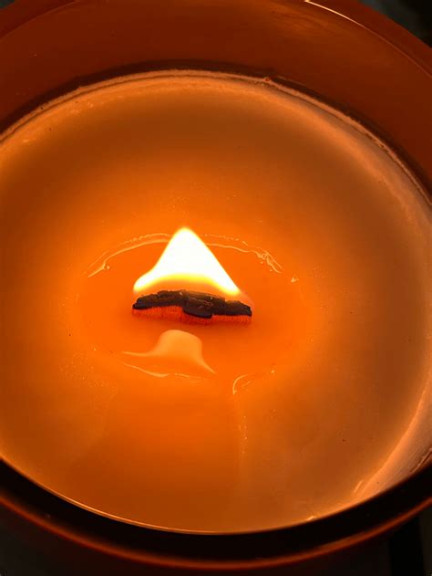 The Delicate Fox | Botanical Body & Soul Care