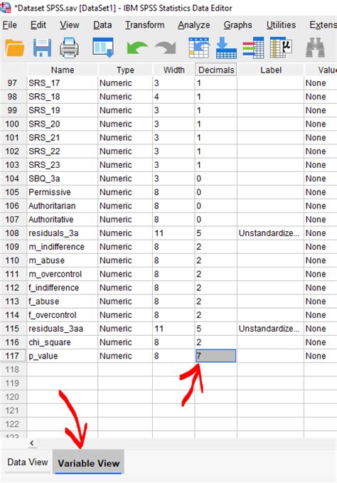 SPSS ile Ki Kare Bağımsızlık Testi Post Hoc Resimli SPSS YARDIMI