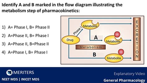 Neet Mds Inicet General Pharmacology Explanatory Video Youtube