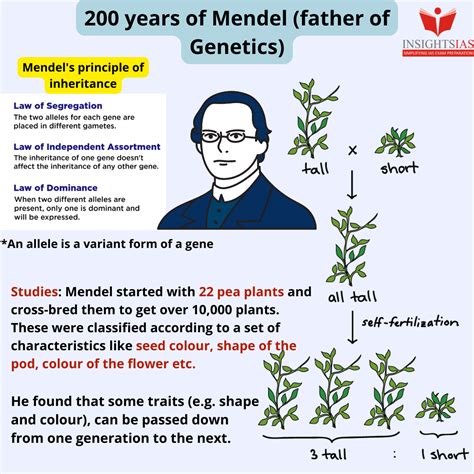 Mendel's Law Of Inheritance Clearance Discounts | www.gbu-presnenskij.ru