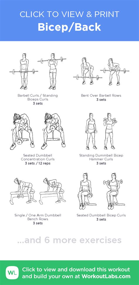 Bicep/Back · Free workout by WorkoutLabs Fit | Back and biceps, Bicep ...