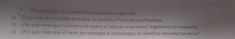 Lee Y Analiza El Siguiente Texto Un Cient Fico Lleva A Cabo El