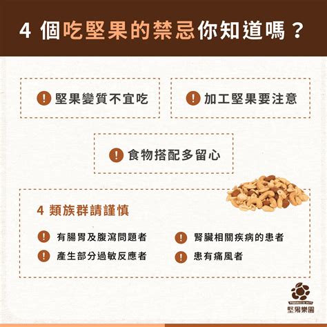 堅果種類有哪些？吃了有什麼好處？9大堅果營養、食用禁忌一覽！ 堅果樂園