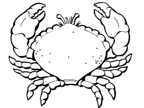 Coloriage Crabe à imprimer