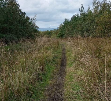 Woodland Path Jim Smillie Cc By Sa Geograph Britain And Ireland