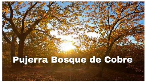 Pujerra Bosque De Cobre Gopro Bosquedecobre Genal Miguelreina