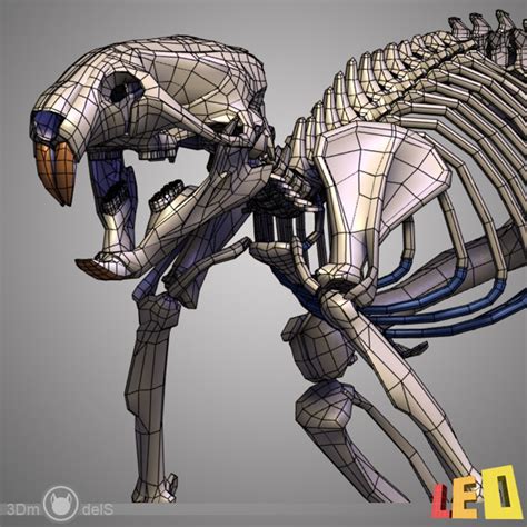 3d Rat Skeleton Separated Bones Model