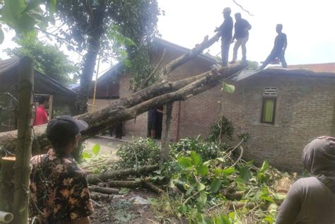 Puluhan Rumah Porak Poranda Diterjang Puting Beliung Harian Mistar