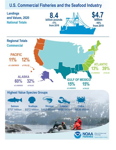 Shrimp Tops Per Capita Consumption List In US Followed By Salmon