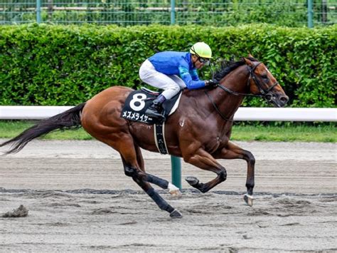 中央競馬予想無料買い目【完全無料】 S Johnnys Garden 初風ステークス、ケフェウスステークス 2022 トピックス