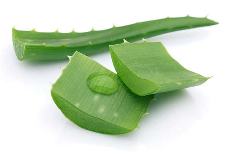 8 Astonishing Health Benefits Of Aloe Vera