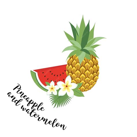 Premium Vector Pineapple And Watermelon Vector Illustration Fruit