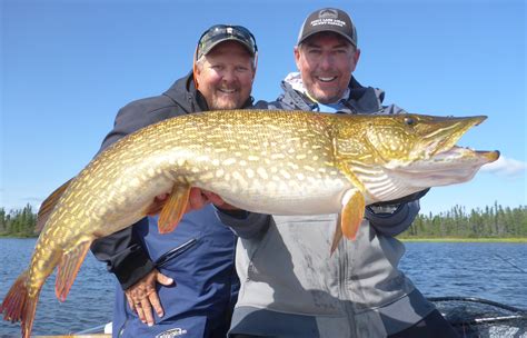 Northern Pike Fishing Canada Experience | Scott Lake Lodge