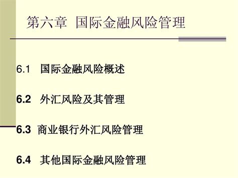 第六章 国际金融风险管理word文档在线阅读与下载无忧文档