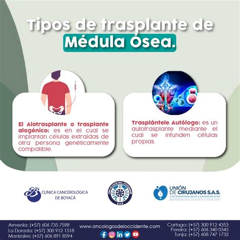 Tipos De Trasplante De M Dula Sea Onc Logos Del Occidente S A S