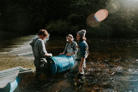 First Nations Are Using Artificial Intelligence To Help Save Salmon Rthreesistersgarden