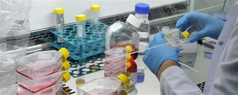 Turkey’s top science body to produce biosimilar cancer drugs Muslim Science