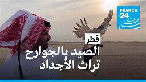 قطر الصيد بالجوارح تراث الأجداد • فرانس 24 France 24 Youtube