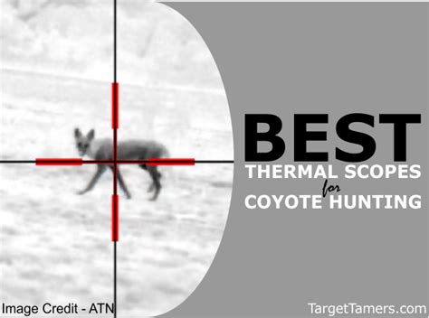 5 Best Thermal Scopes For Coyote Hunting In 2025 Includes Clip On