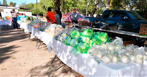 Aprovechan Mercadito En Tu Colonia En Nava