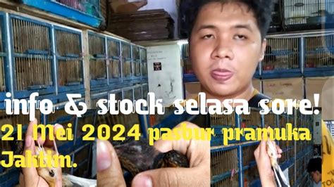 Info Stock Selasa Sore Mei Pasbur Pramuka Jaktim Youtube