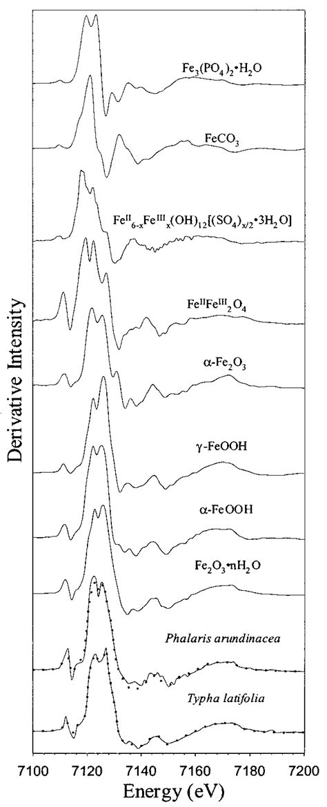 Iron First Derivative Xanes Spectra Of Model Compounds And Fe Plaque Of