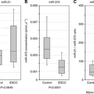 Plasma MiRNAs Concentration In The Initial Analysis Real Time RTPCR