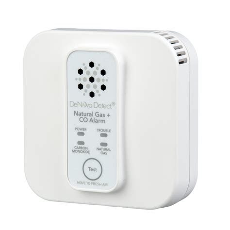 DeNova Detect 2-in-1 10-Year Battery-operated Natural Gas Carbon Monoxide Detector with Voice ...