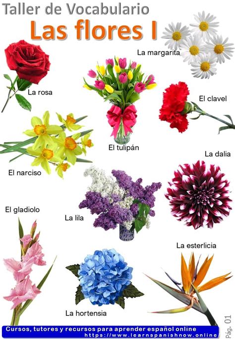 El Nombre De Las Flores En Español Learn Spanish Online