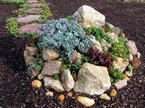 Sedum Is Easy To Grow And Are Extensively Cultivated As Rock Garden